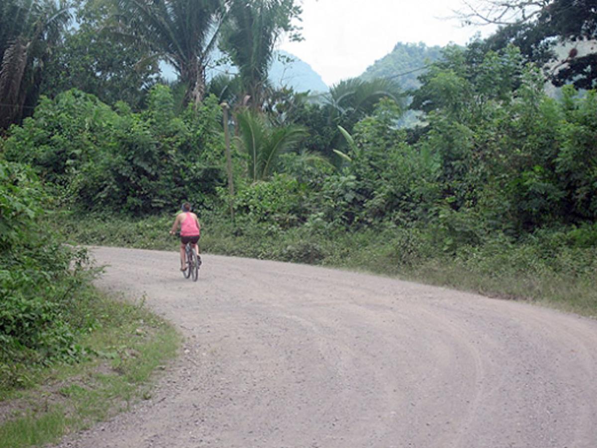 Omega Tours Eco-Jungle Lodge La Ceiba Exterior photo