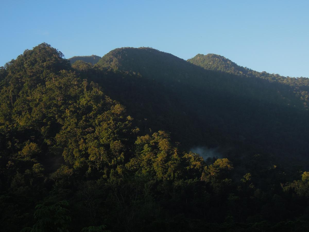 Omega Tours Eco-Jungle Lodge La Ceiba Exterior photo