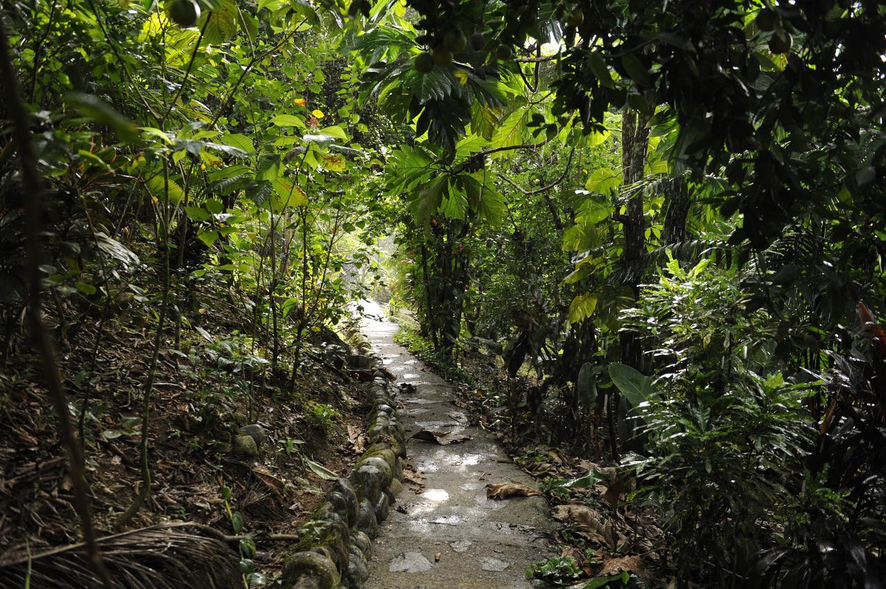 Omega Tours Eco-Jungle Lodge La Ceiba Exterior photo