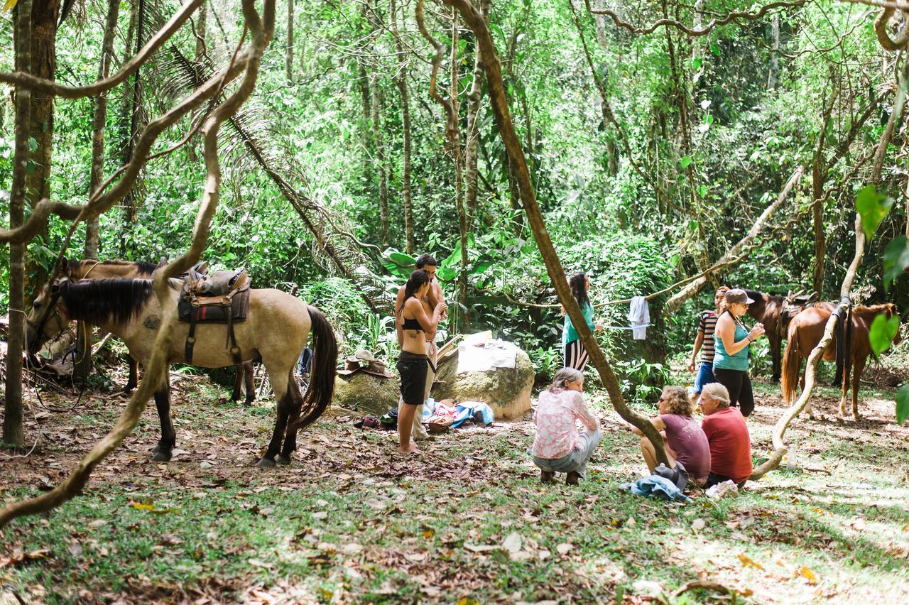 Omega Tours Eco-Jungle Lodge La Ceiba Exterior photo