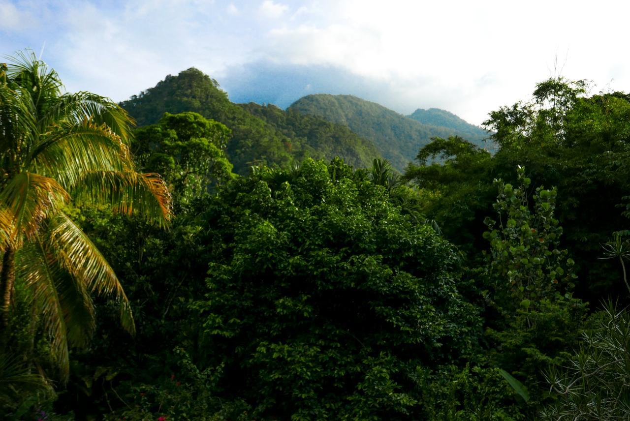 Omega Tours Eco-Jungle Lodge La Ceiba Exterior photo