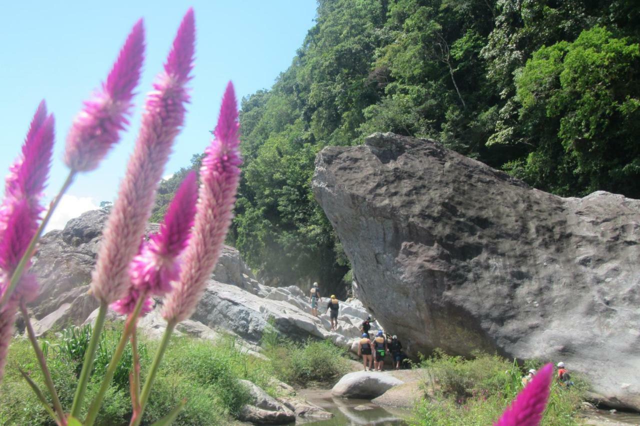 Omega Tours Eco-Jungle Lodge La Ceiba Exterior photo